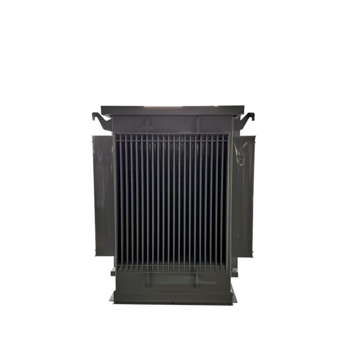 750 Kva Pad Mount Transformer-25/0.6 KV | Canada 2025 high quality